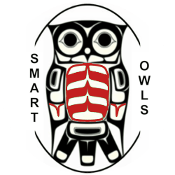 Smart Owls